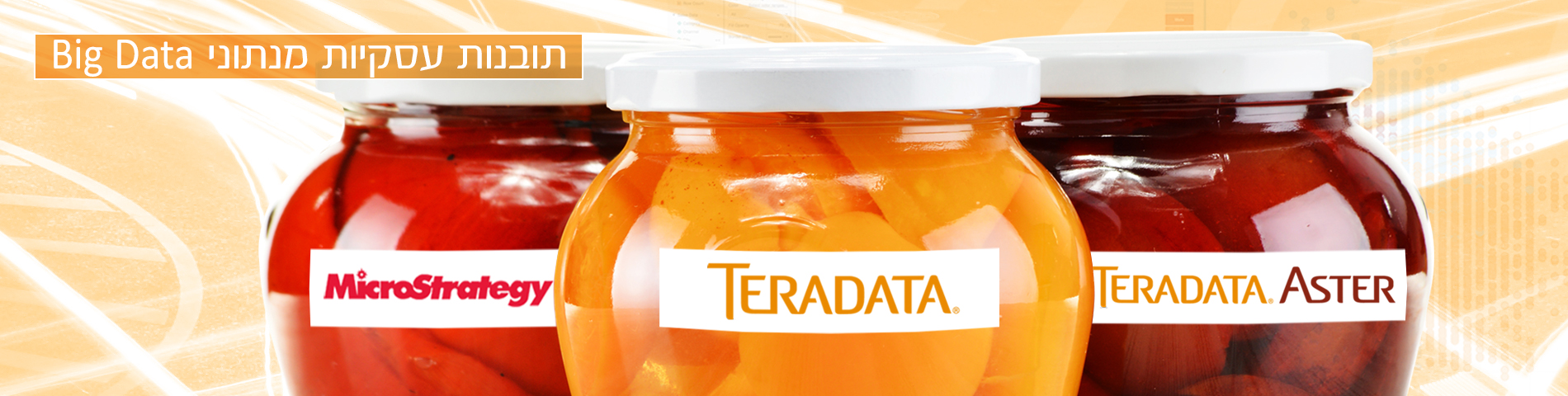 banner_Tera 2017