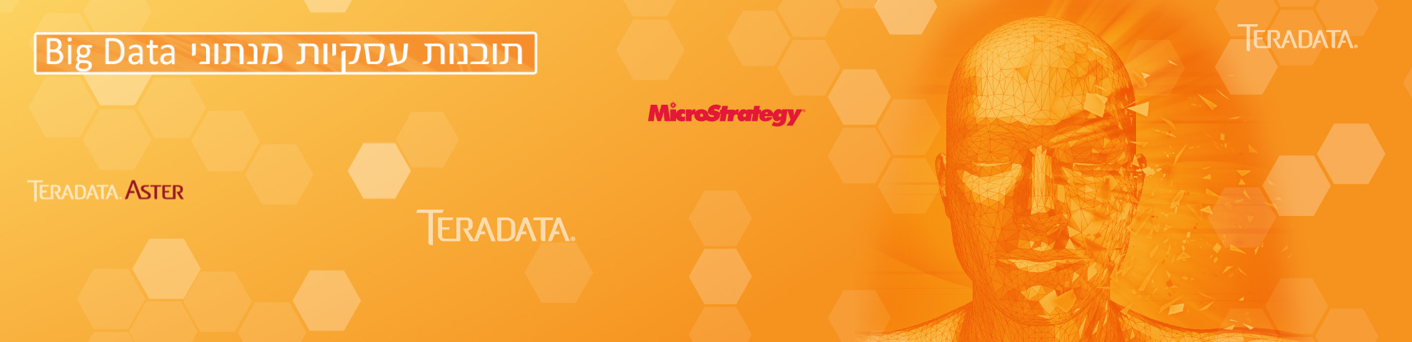 site-teradata-baner-2